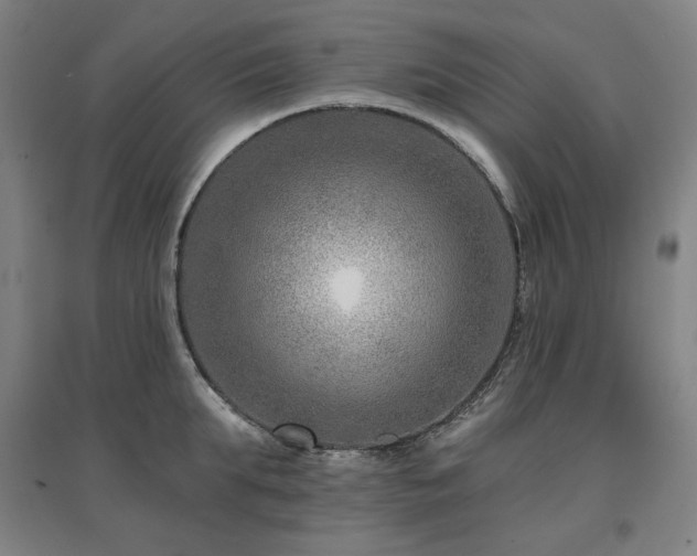 X0000095900903200801111206