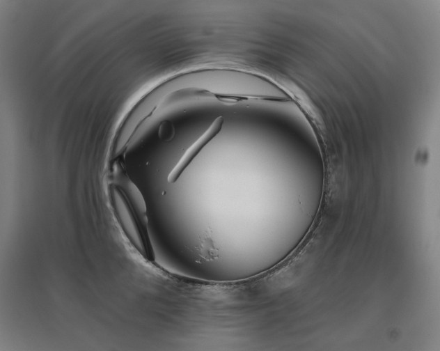 X0000095900904200801111206