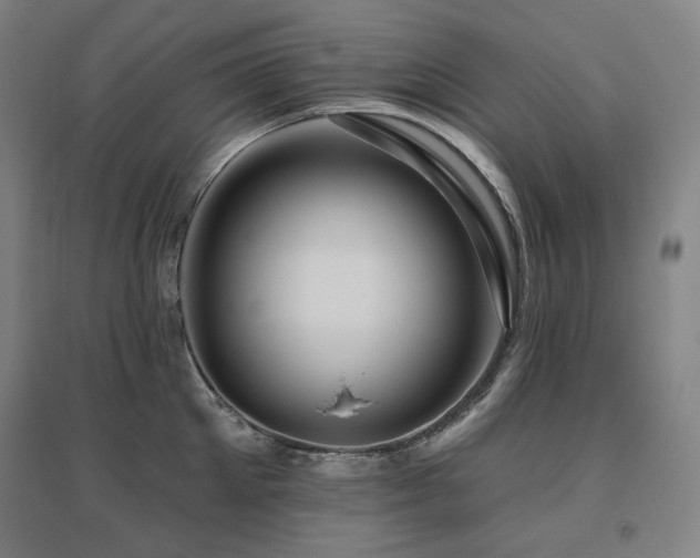 X0000095900905200801111206