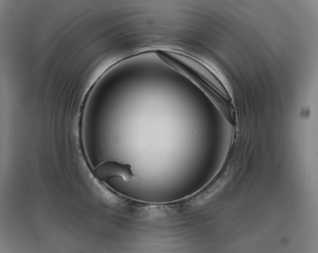 X0000095900906200801111206