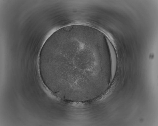 X0000095900907200801111206