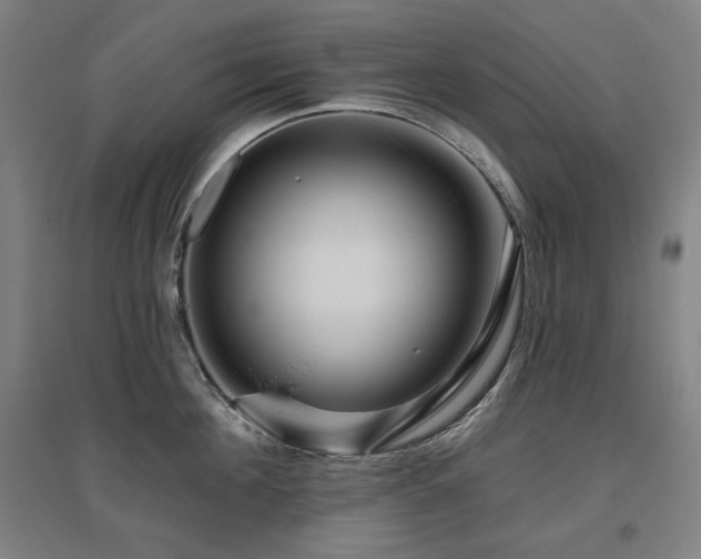 X0000095900908200801111206