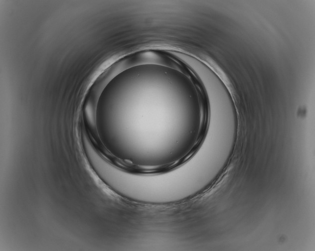 X0000095900909200801111206