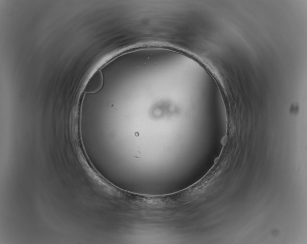 X0000095900911200801111206