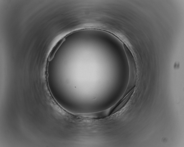 X0000095900912200801111206