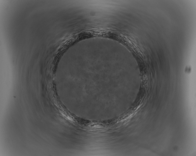 X0000095900913200801111205