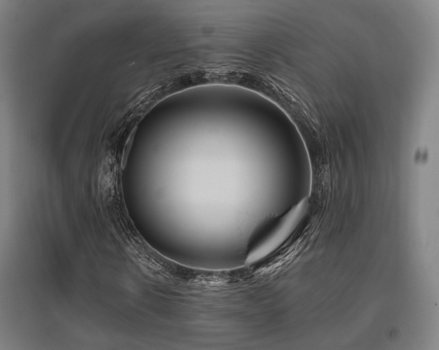 X0000095900914200801111205