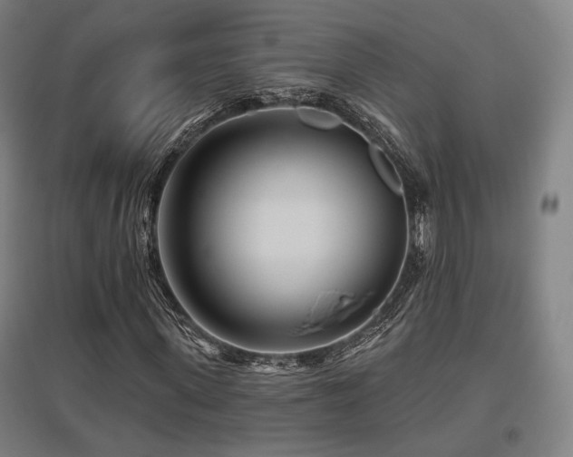 X0000095900915200801111205
