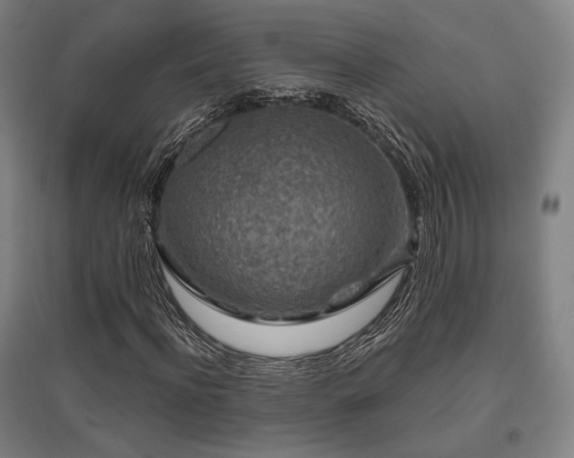 X0000095900916200801111205