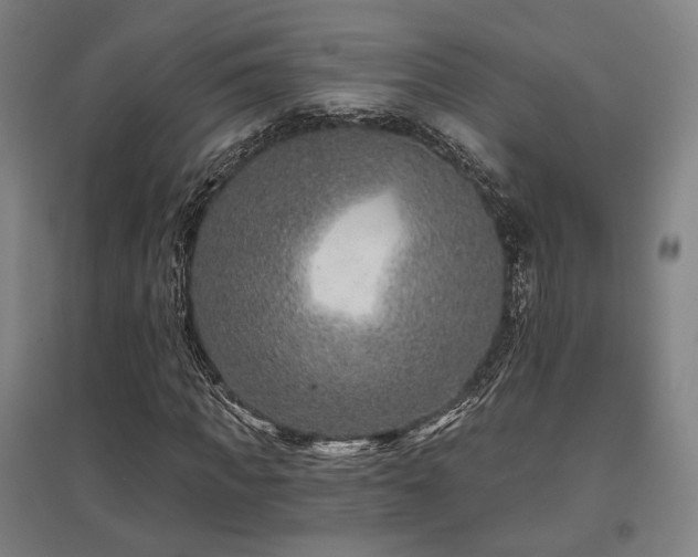 X0000095900917200801111205