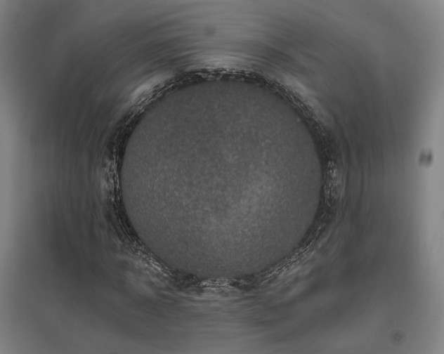 X0000095900918200801111205