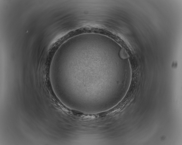 X0000095900919200801111205