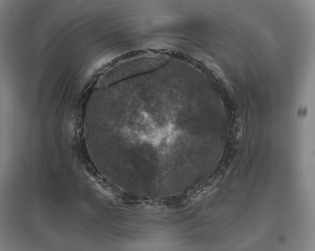 X0000095900920200801111205