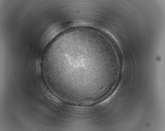 X0000095900921200801111205