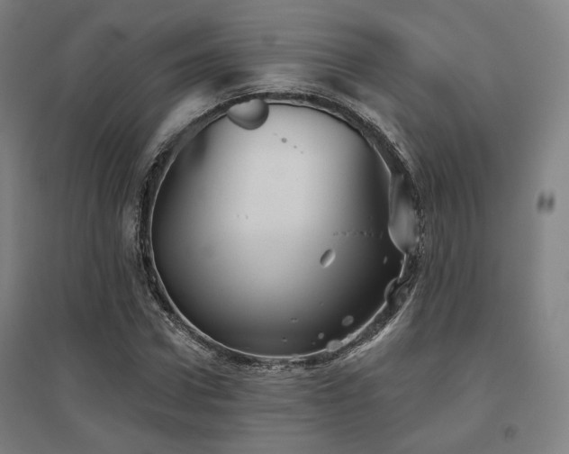 X0000095900922200801111206