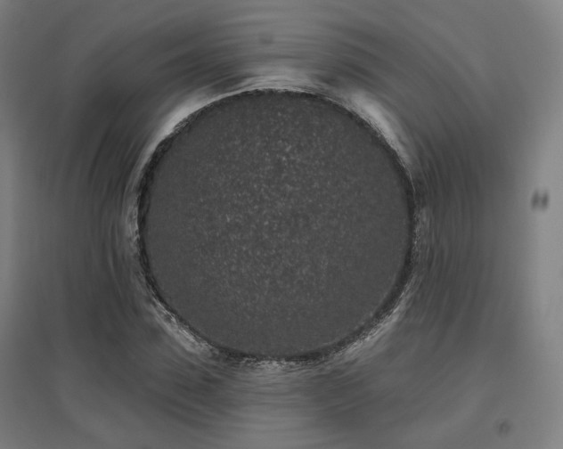 X0000095900923200801111206