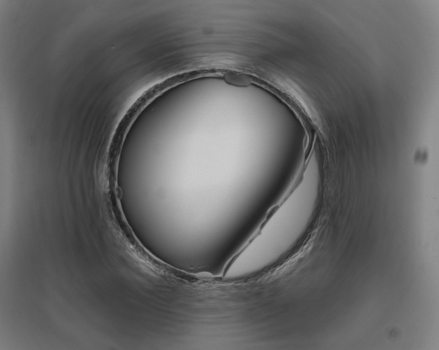 X0000095900924200801111206