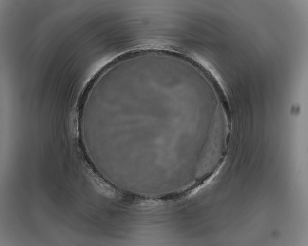 X0000095900925200801111206