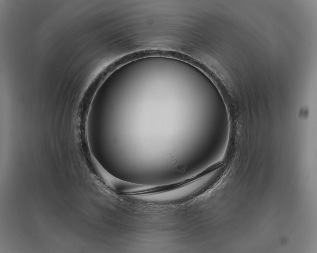 X0000095900926200801111206