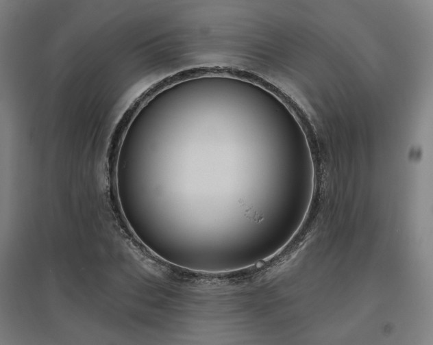 X0000095900927200801111206