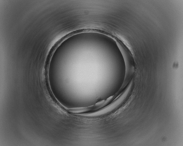X0000095900928200801111206