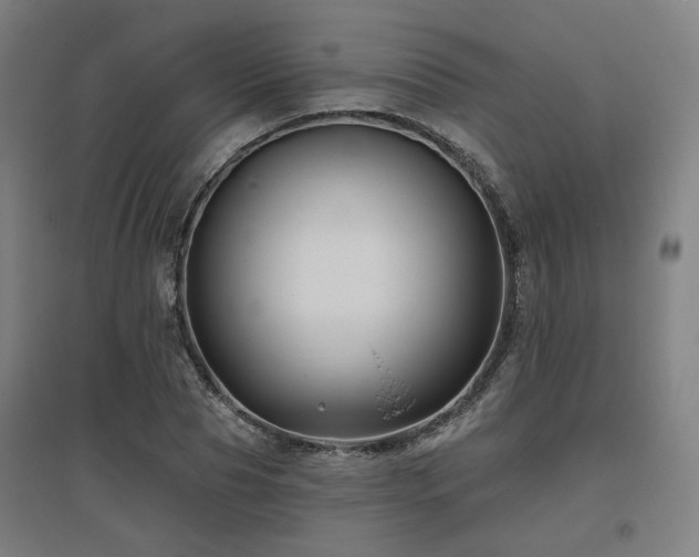 X0000095900929200801111206