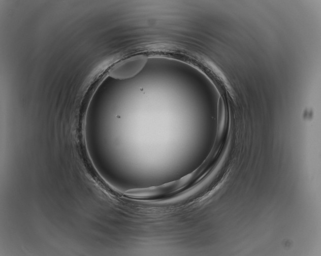 X0000095900930200801111206