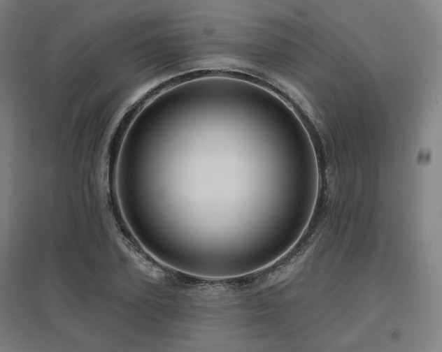 X0000095900931200801111206
