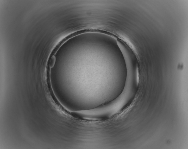X0000095900932200801111206