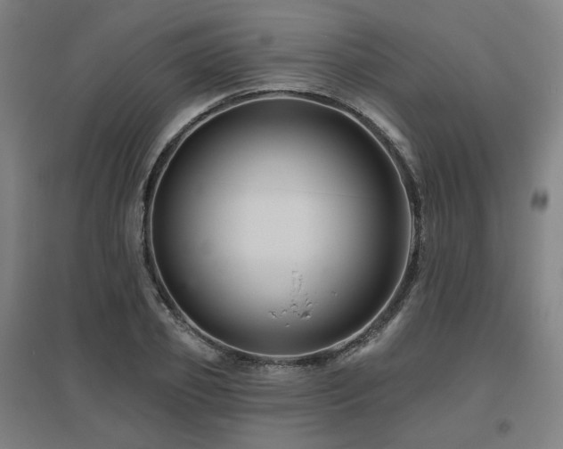 X0000095900933200801111206