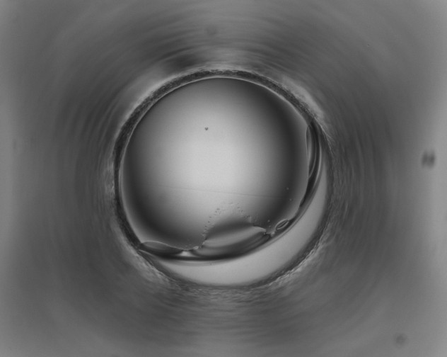 X0000095900934200801111206