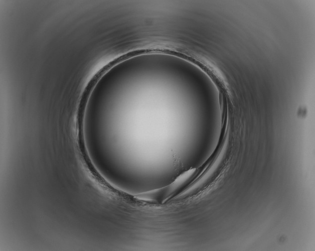 X0000095900936200801111206