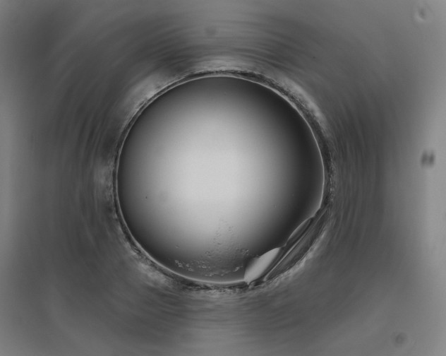 X0000095900937200801111206
