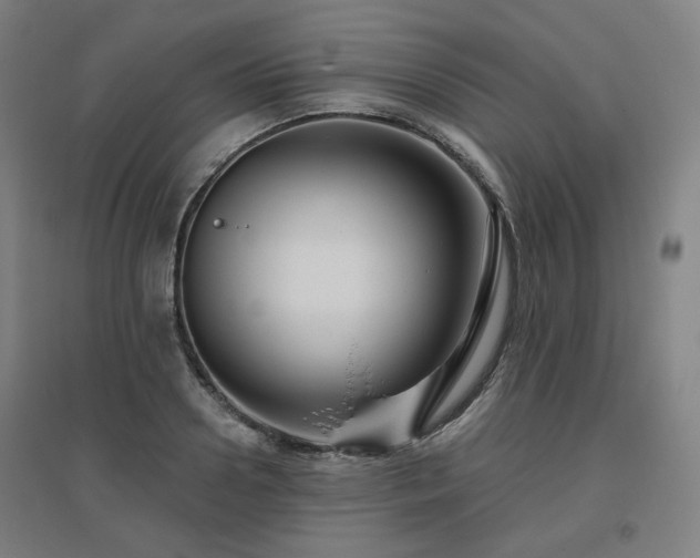 X0000095900938200801111206