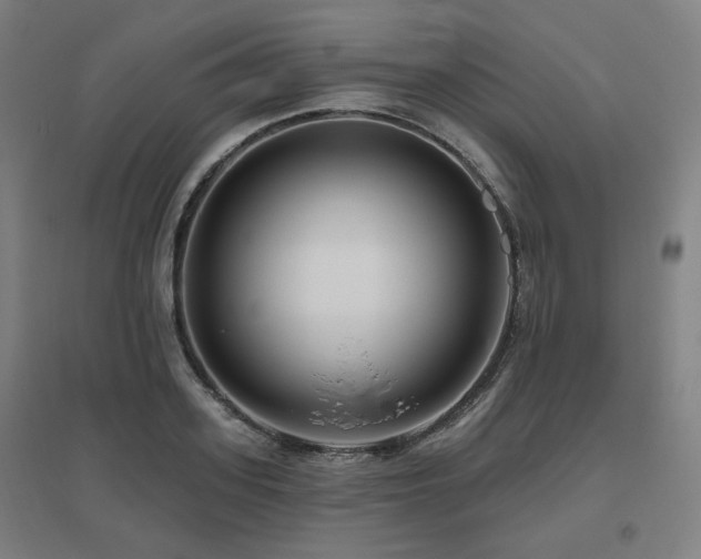 X0000095900939200801111206