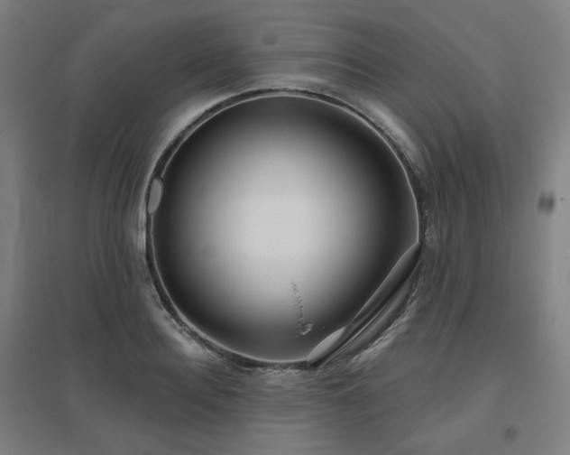 X0000095900940200801111206