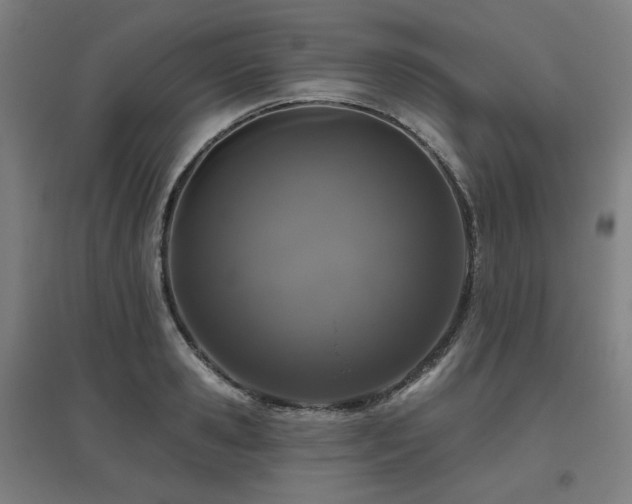 X0000095900941200801111206