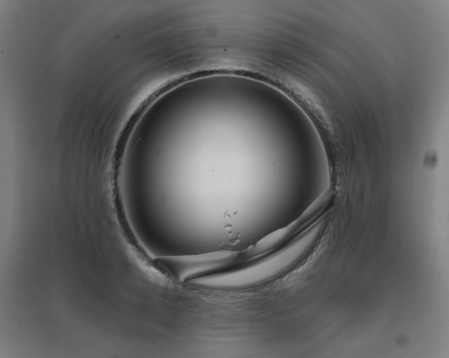 X0000095900942200801111206