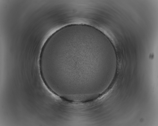 X0000095900943200801111206