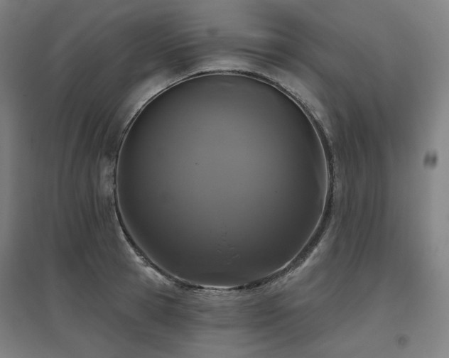 X0000095900945200801111206
