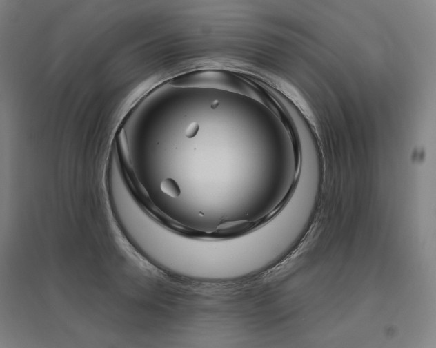 X0000095900946200801111206