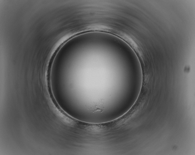 X0000095900947200801111206