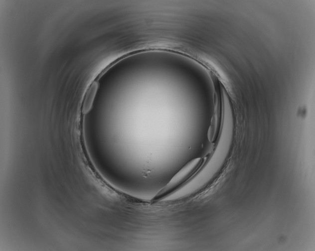 X0000095900948200801111206