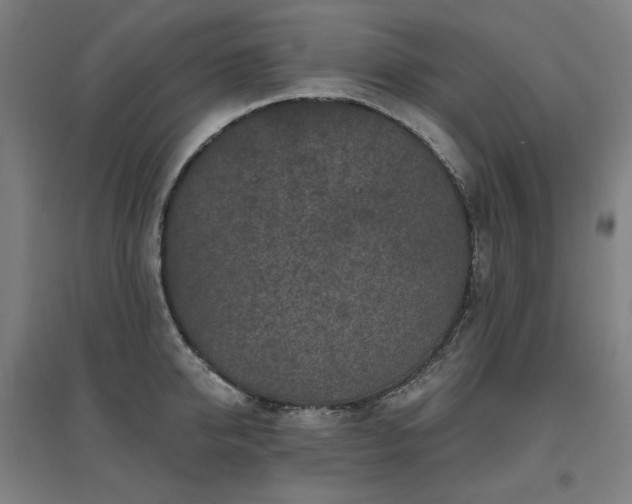 X0000095900950200801111206
