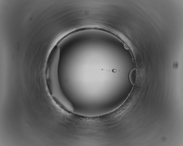 X0000095900951200801111206