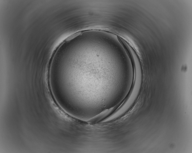 X0000095900952200801111206
