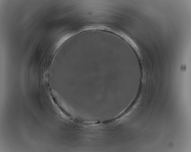 X0000095900953200801111206