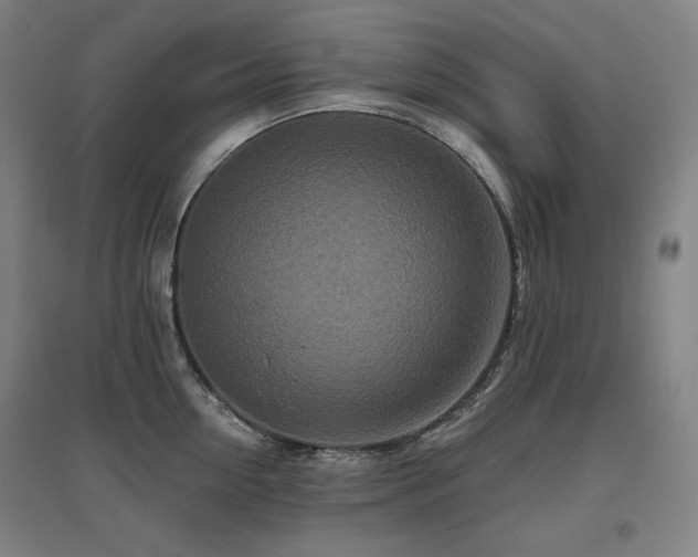 X0000095900954200801111206