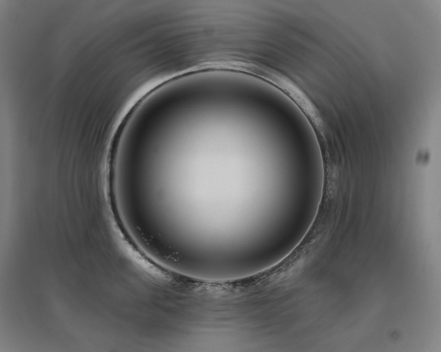 X0000095900955200801111206