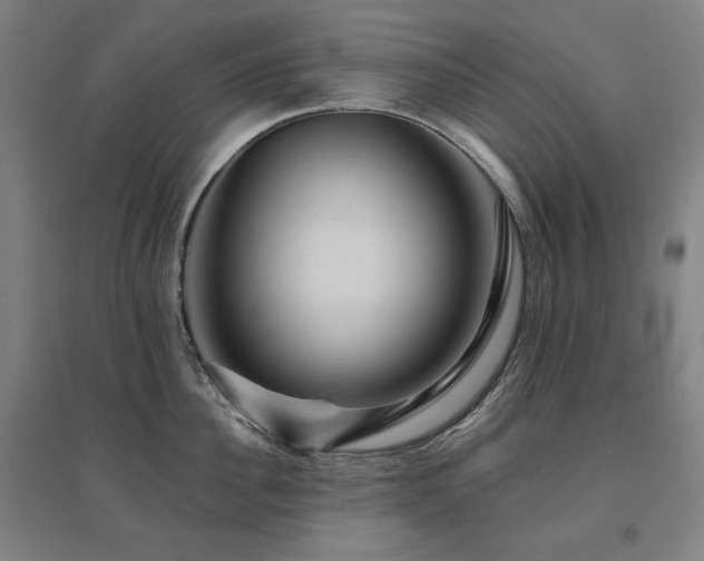 X0000095900956200801111206